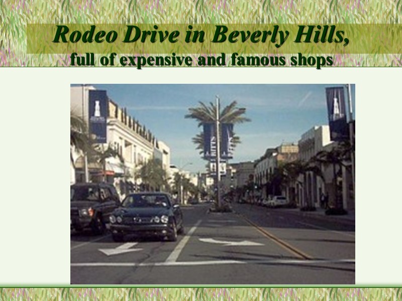 Rodeo Drive in Beverly Hills, full of expensive and famous shops